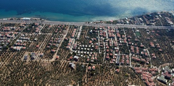 Kaz Dağları'na villa yapmak için kesilen zeytin ağaçları