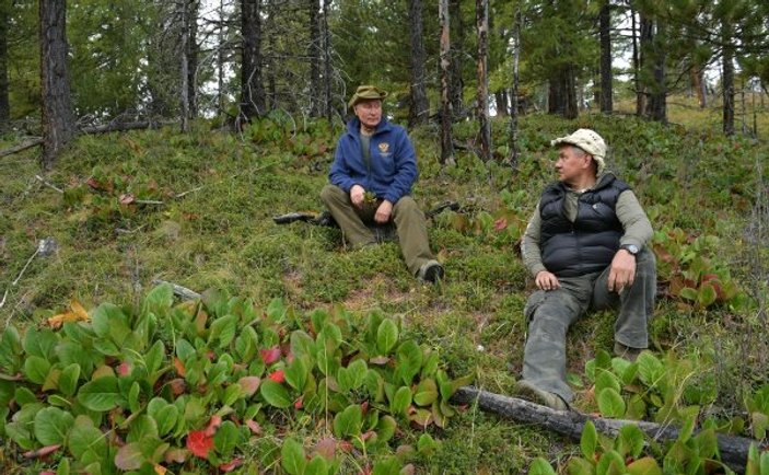 Putin ve Şoygu ormanda