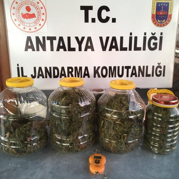 Antalya'da 4 bidona zulalanan esrar operasyonla yakalandı