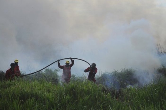 Orman yangınları Endonezya'da eğitimi etkiliyor
