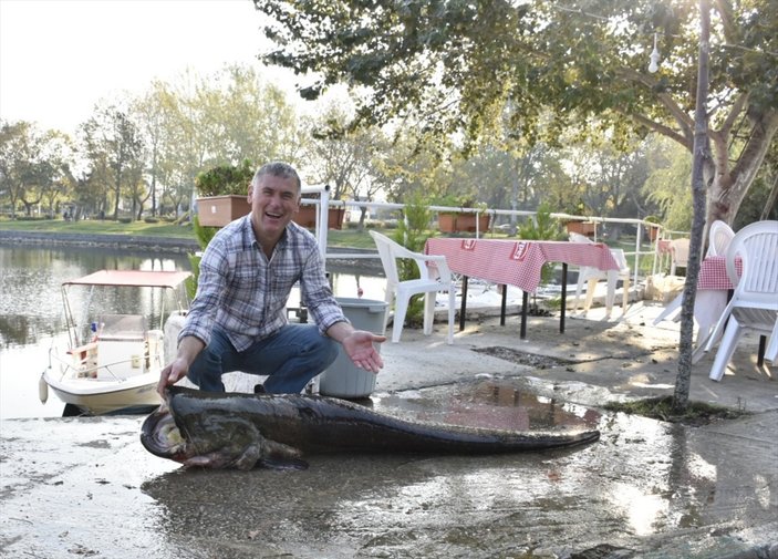 Bursa'da balıkçıların ağına takılan 80 kiloluk balık