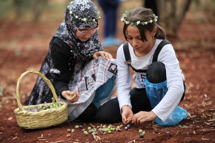 Hatay'da Suriyeli yetimlerle zeytin toplama etkinliği
