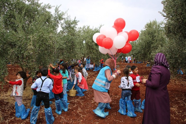 Hatay'da Suriyeli yetimlerle zeytin toplama etkinliği