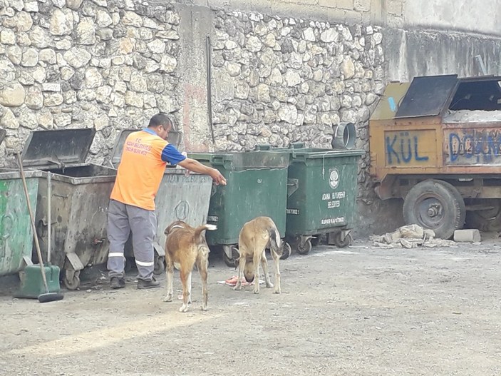 Adanalı temizlik işçisi çöpten topladığı atıklarla köpekleri besliyor