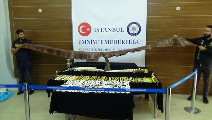 İstanbul'da 1.5 milyonluk 'fil dişi' operasyonu