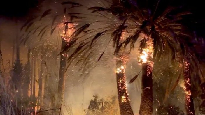 Kaliforniya'daki orman yangınları durdurulamıyor