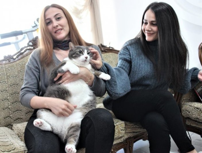 Bursa'daki 11 kiloluk kedi görenleri şaşırtıyor