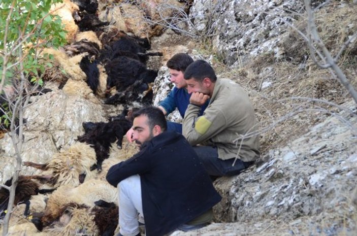 Bitlis'te 315 koyun uçurumdan düşüp telef oldu