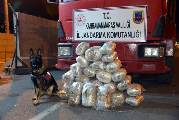 Kahramanmaraş'ta 46 kilo esrar ele geçirildi
