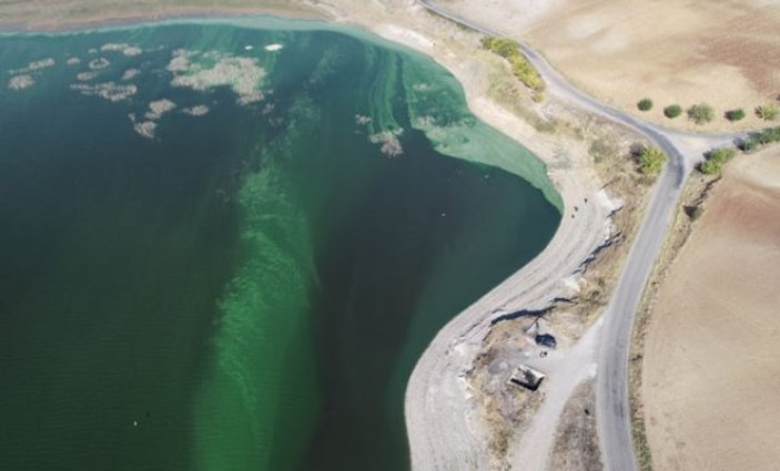 Atatürk Barajı'nın yeşil renginin nedeni açıklandı