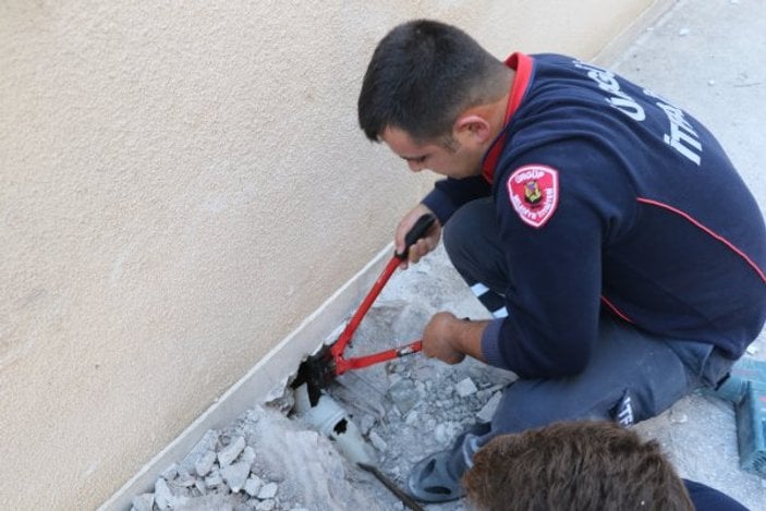 Nevşehir'deki anne kedi yavrusunun kurtarılmasını bekledi