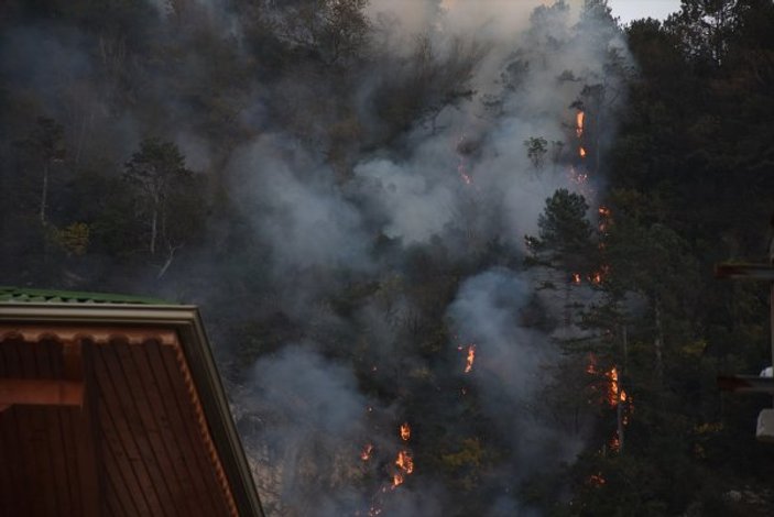 Bartın'da orman yangını