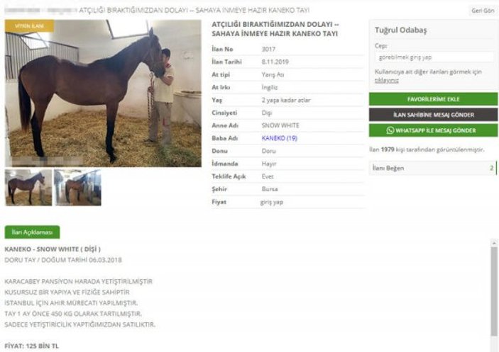 Işın Karaca'nın eski eşi atları satmaya başladı