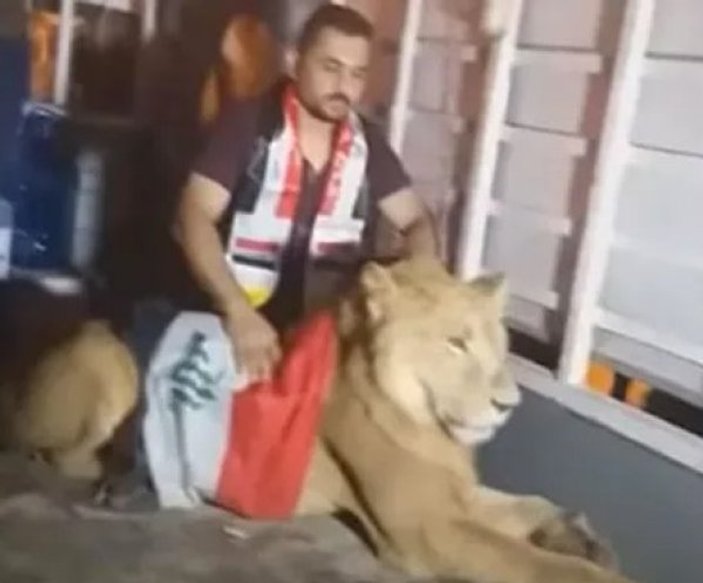 Iraklı protestocular köpeklere karşı aslanla meydan okudu