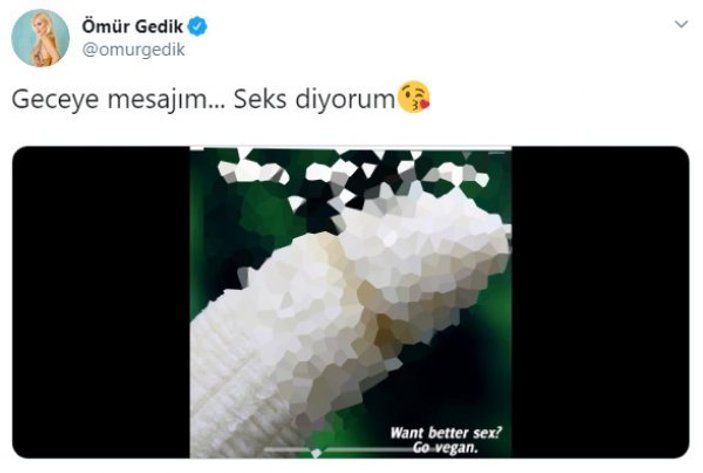 Ömür Gedik ne istiyor