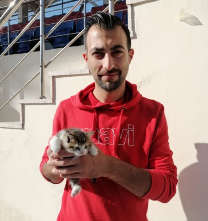 Zonguldak'ta kedi 2 metre derinlikteki kuyudan kurtarıldı