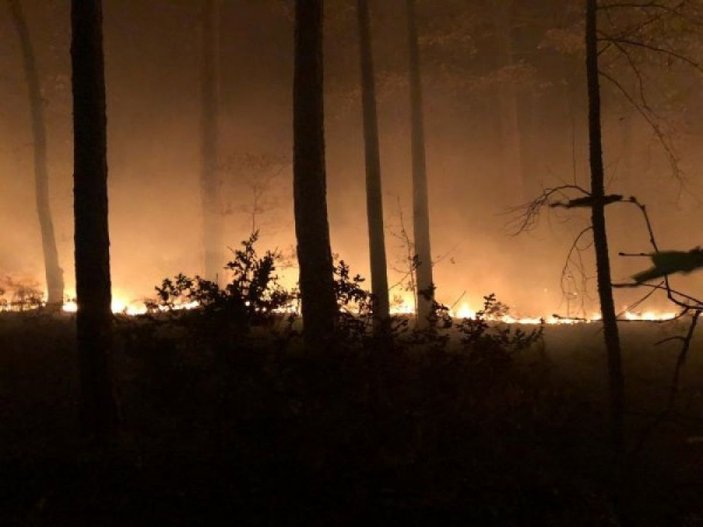Çanakkale'deki yangın söndürüldü