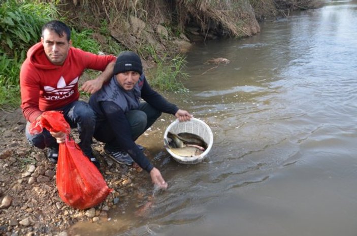 Gediz Nehri'nin suyu azaldı, vatandaş elle balık yakalıyor