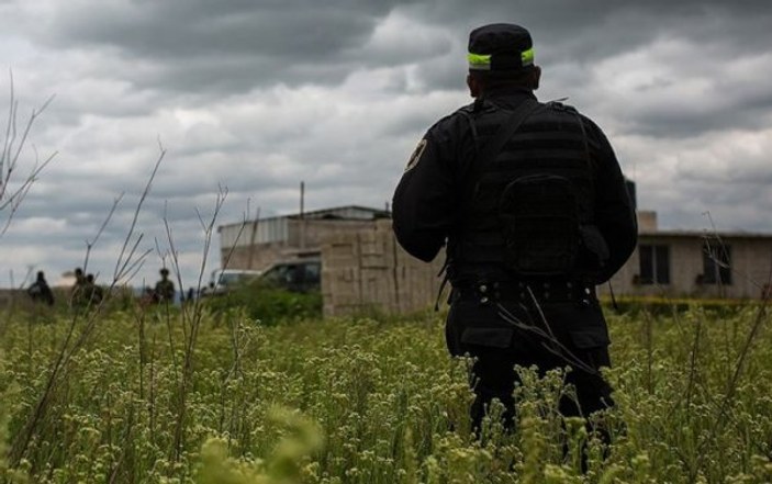 Meksika'da çiftlikte 14 ceset bulundu
