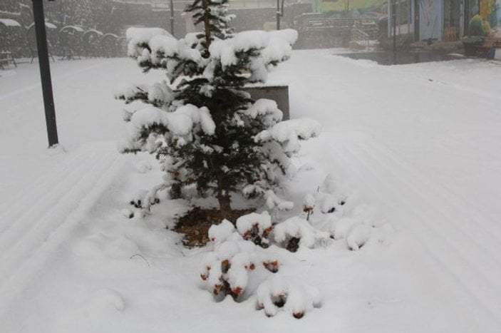 Van'ın Başkale ilçesinde kar 10 santimetreye ulaştı