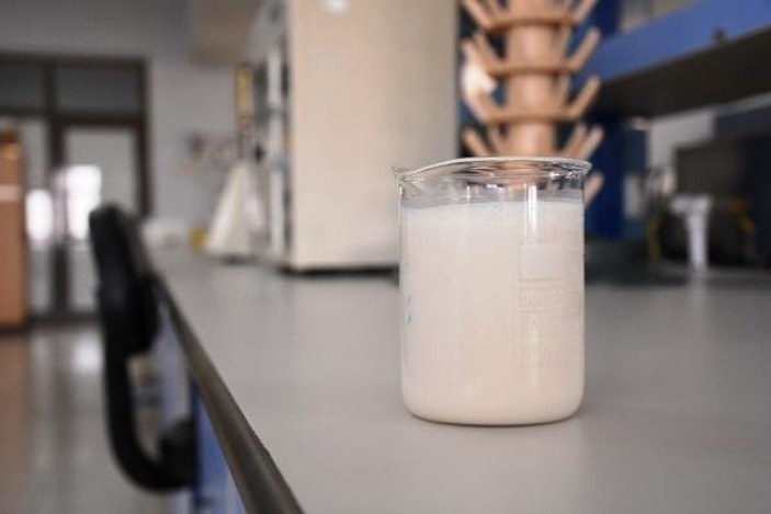 Kayısı çekirdeğinden süt üretildi