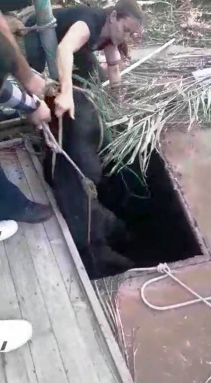 Köpeğini kurtarmak istediği kuyuda mahsur kaldı