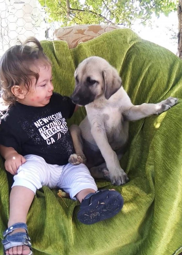 Kahramanmaraş'ta küçük çocuğun köpeğini koruduğu anlar