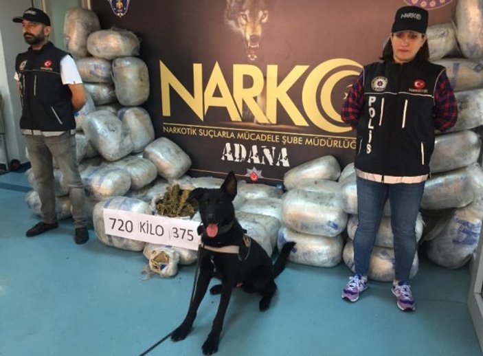 Narkotik köpeği 'Tunga' 721 kilo esrar buldu