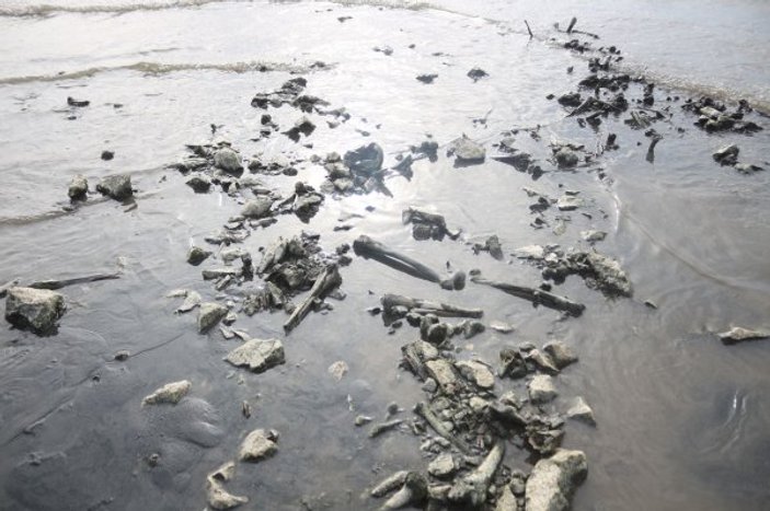 Van Gölü'nde sular çekilince insan kemikleri ortaya çıktı