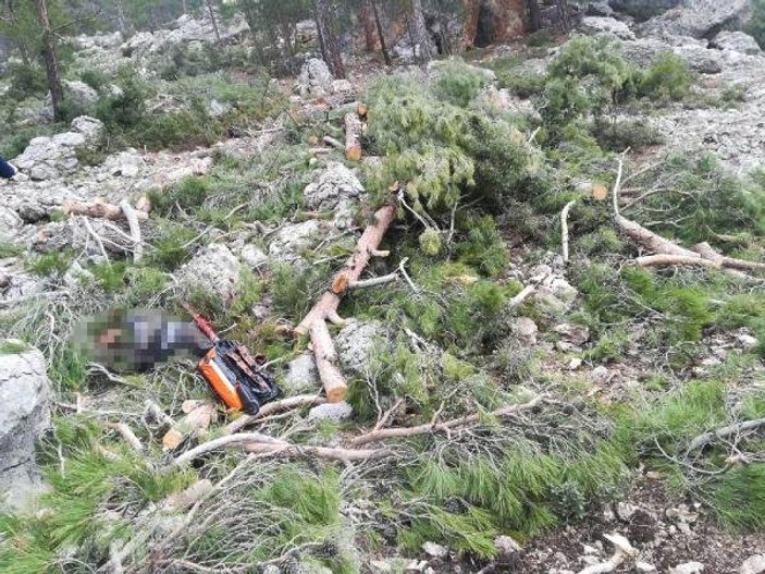 Karaman'da bir adam kesilen ağacın altında kaldı