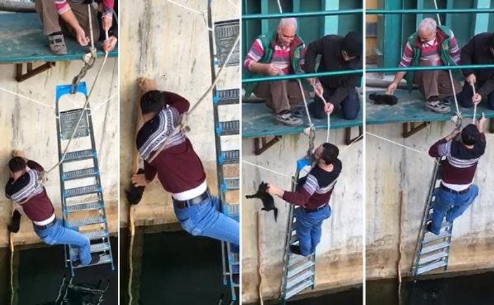 Denizli'de, yavru kediyi suya düşmekten kurtardı
