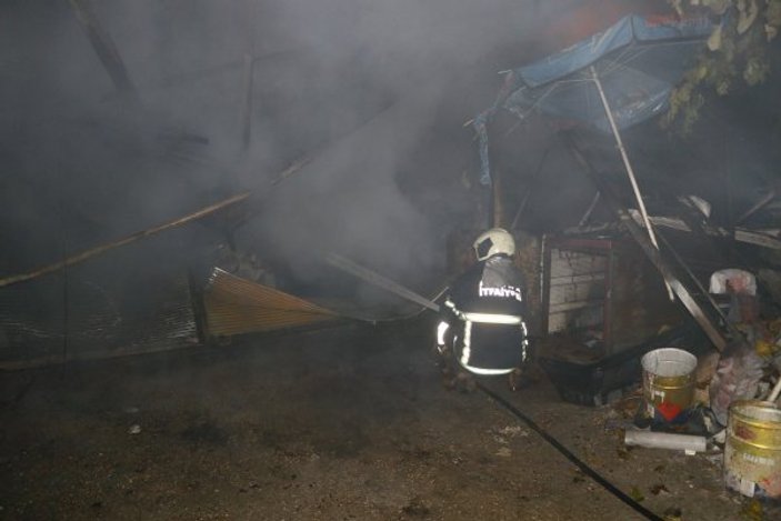 Adana'da yangında 2 köpek telef oldu