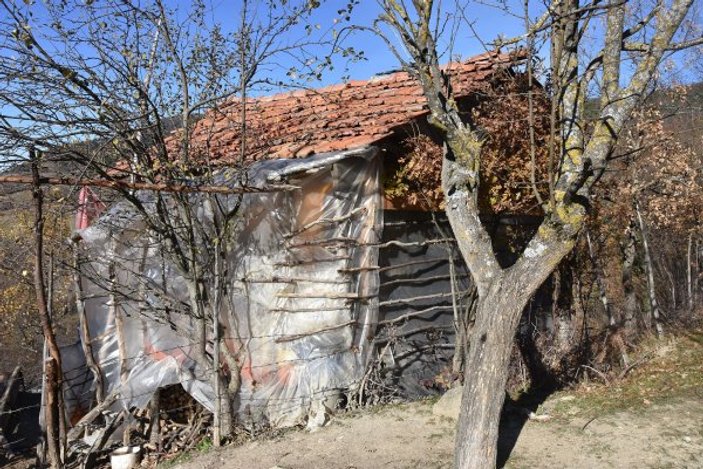 Sinop'ta naylon barakada yaşam mücadelesi