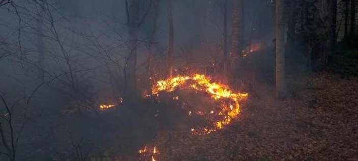 Uludağ'da orman yangını
