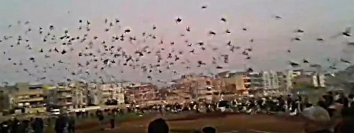 Şanlıurfa'da güvercinler Doğu Türkistan için uçuruldu