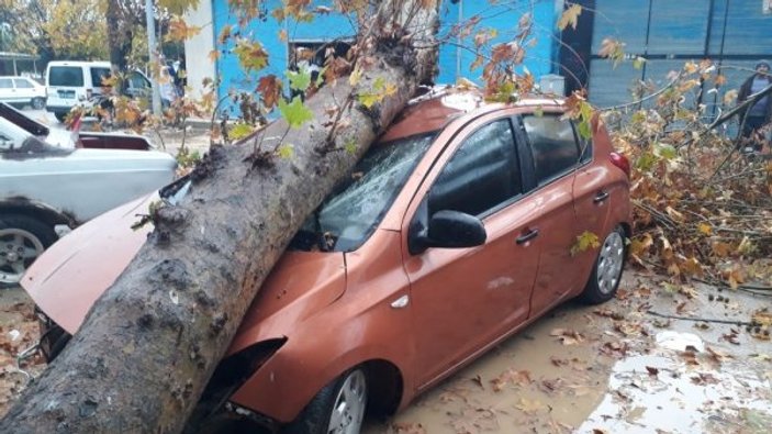 Fırtınanın devirdiği ağaç otomobili hurdaya çevirdi