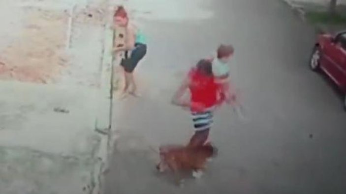 Brezilya'da pitbull, 4 yaşındaki çocuğa saldırdı