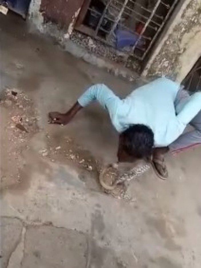 Hindistan'da kobra yılanını öpen adam