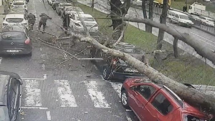 İstanbul'da fırtına: Ağaç yayaların üzerine devrildi