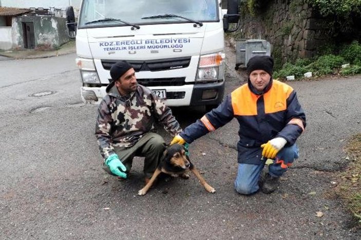 Temizlik görevlilerinin sokak köpeği ile kurduğu dostluk