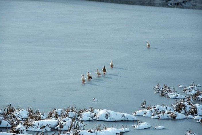 Akdağ Tabiat Parkı'ndaki gölet buz tuttu