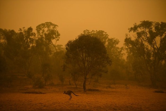 Avustralya'daki yangın devam ediyor