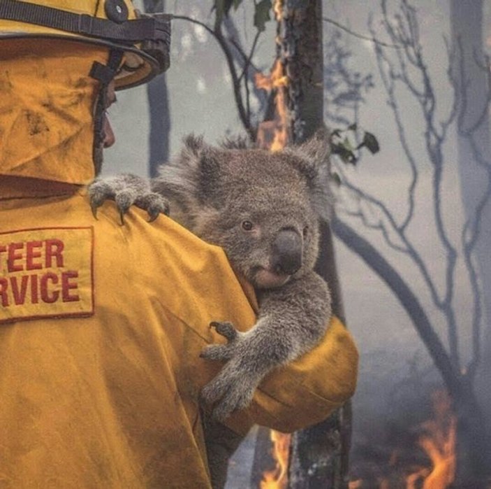Avustralya’daki yangınlar için ilginç kampanya