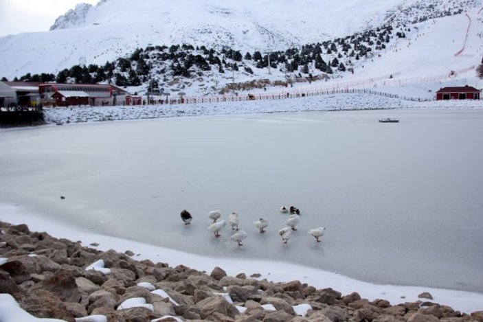 Eksi 7 derecedeki Erzincan'da gölet dondu
