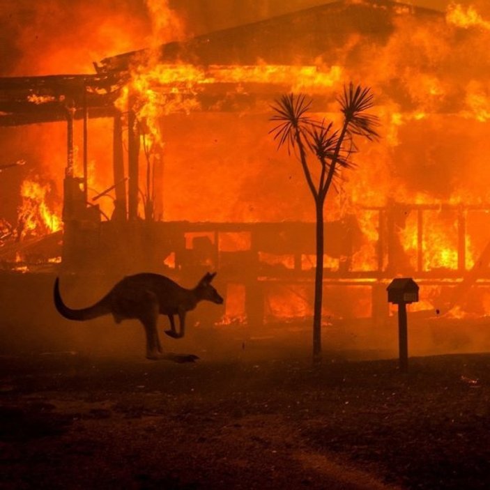Avustralya'da çıkan yangında son durum