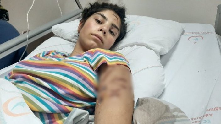 Adıyaman'da 6 köpek 16 yaşındaki genç kıza saldırdı
