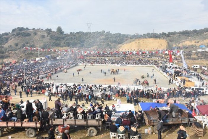 Aydın'da deve güreşi festivali düzenlendi