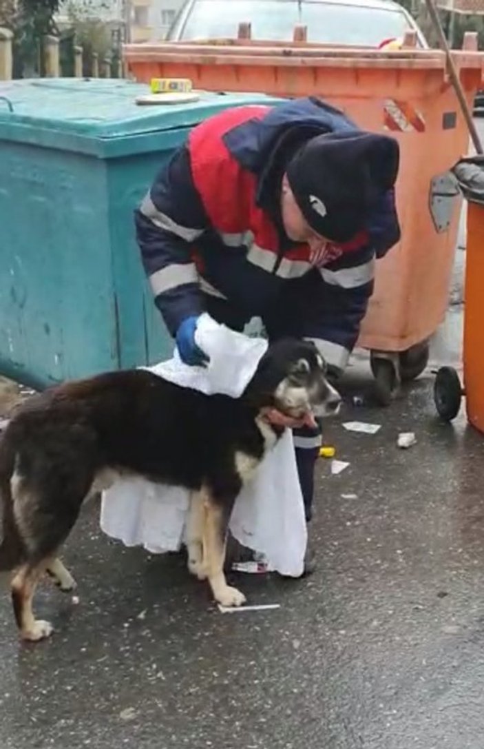 Temizlik işçisi ve köpeğin içleri ısıtan görüntüsü