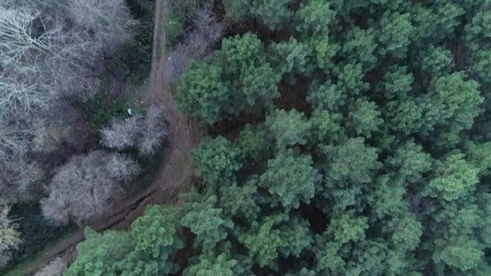 Kayıp iş adamının cesedi ormanda gömülü bulundu