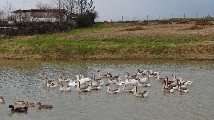 Başakşehir'de 2 milyona satılık göl